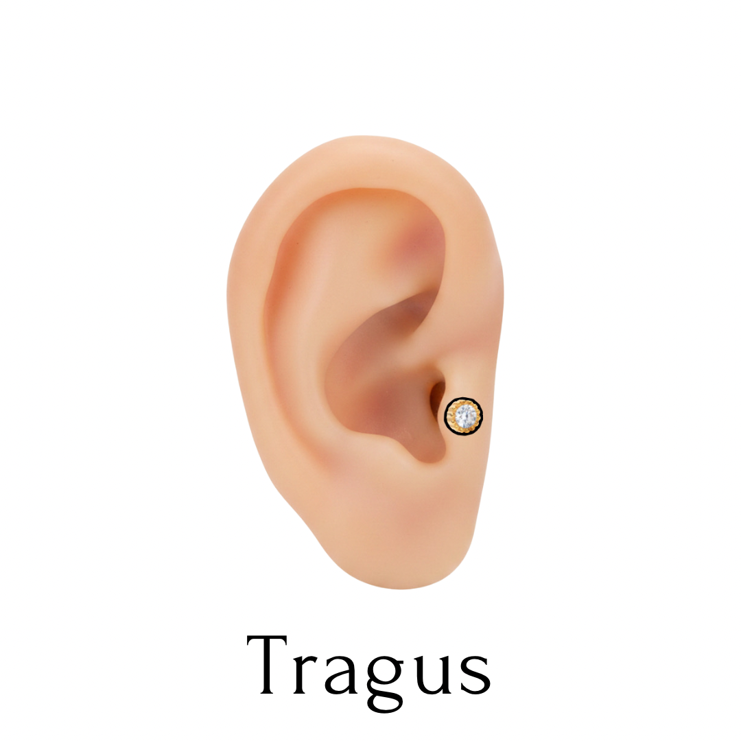 Tragus