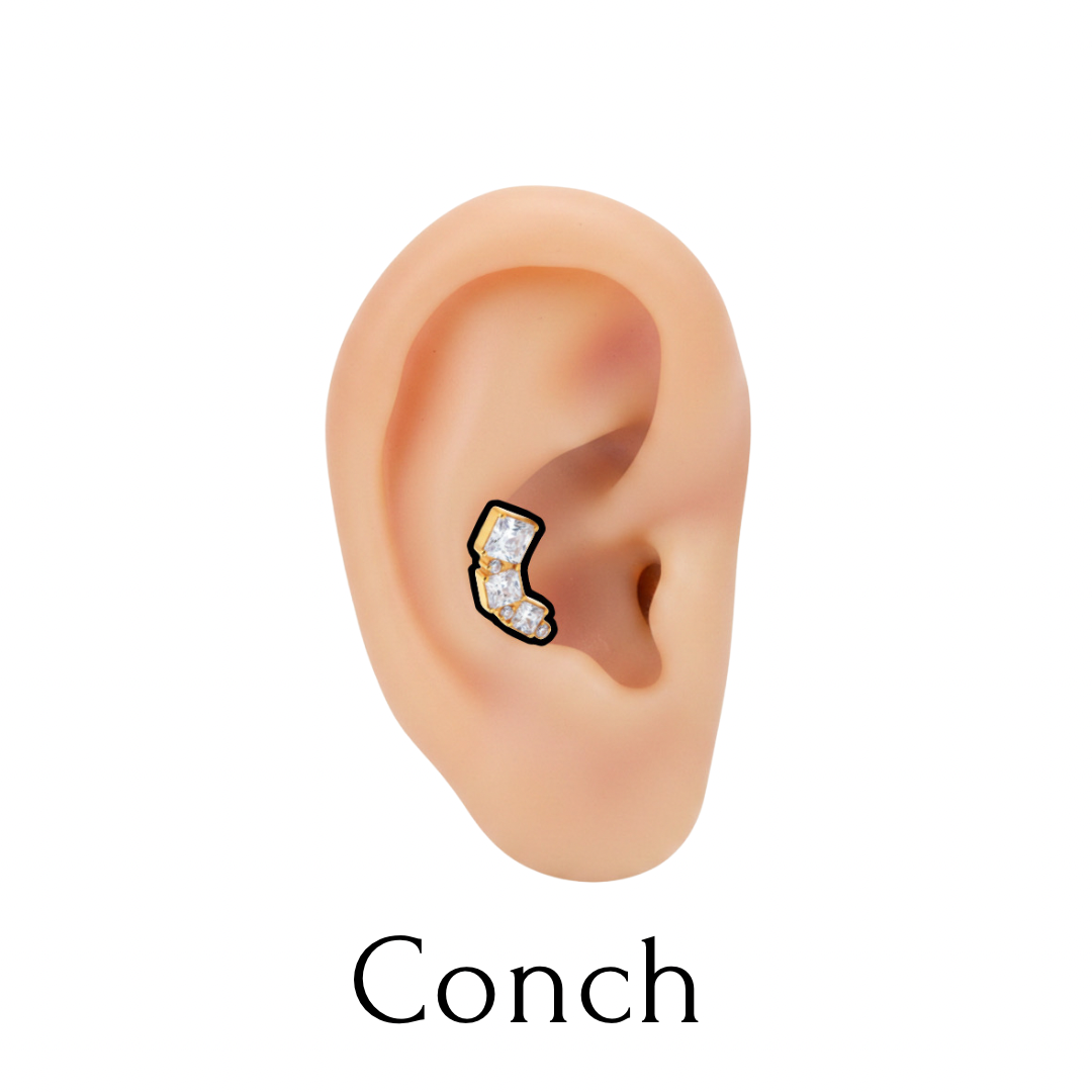 Conch