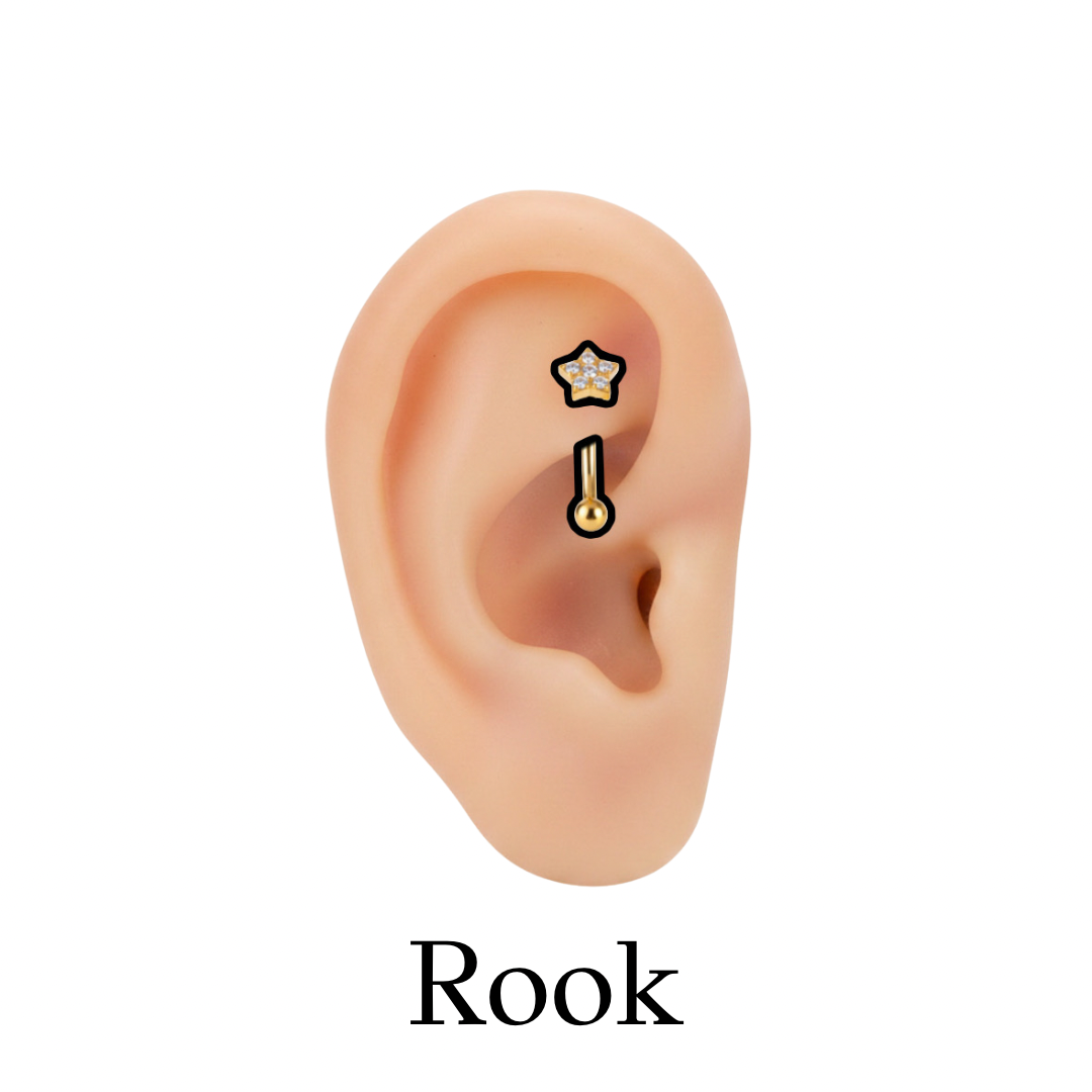 Rook
