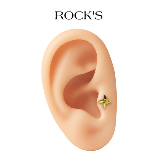 Solenne Titanyum Piercing